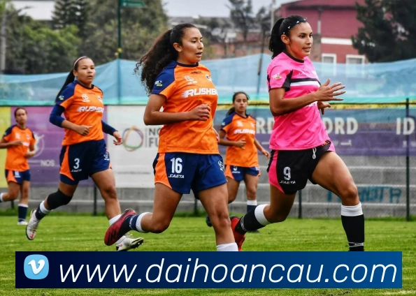 华体网官网APP 封面图