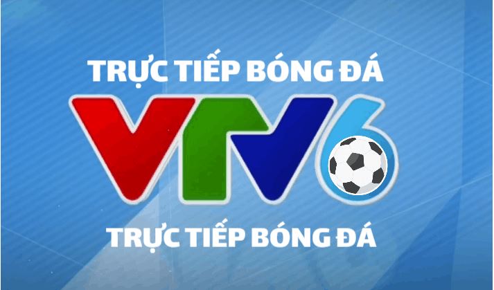 Xem trực tiếp bóng đá hôm nay trên VTV Go - ứng dụng hot khó cưỡng (2)